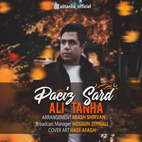 دانلود آهنگ پاییز سرد علی تنها